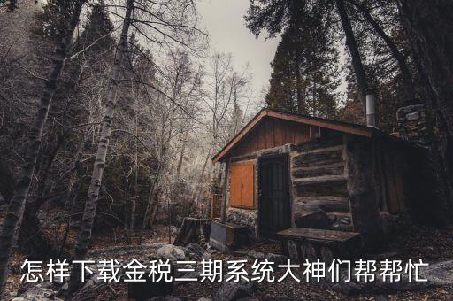 如何下載陜西金稅三期，金稅三期個(gè)人所得稅扣繳系統(tǒng)從哪里下載