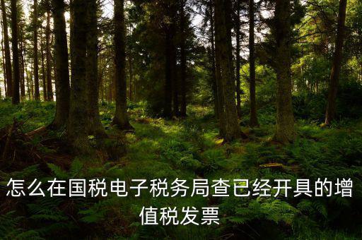 怎么在國稅電子稅務局查已經開具的增值稅發(fā)票