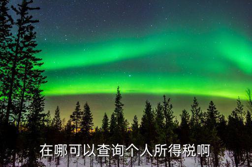 如何查詢個人所得稅記錄，在哪可以查詢個人所得稅啊