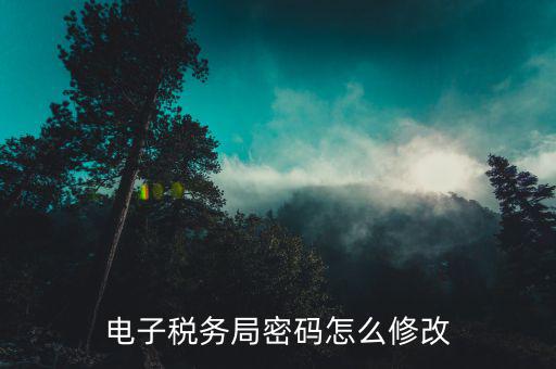 如何設(shè)置電子納稅用戶密碼，電子稅務(wù)局登錄密碼怎么設(shè)置