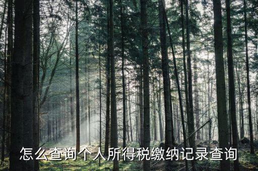 沈陽(yáng)如何查個(gè)人所得稅繳費(fèi)明細(xì)，如何查詢個(gè)人所得稅申報(bào)明細(xì)情況