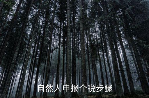 自然人稅收如何申報表，自然人申報個稅步驟