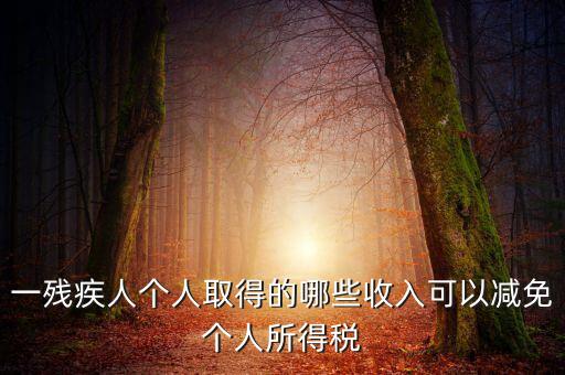 殘疾人減免個(gè)稅如何做賬，有殘疾人免稅證明在個(gè)人所得稅申報(bào)系統(tǒng)中如何填寫急