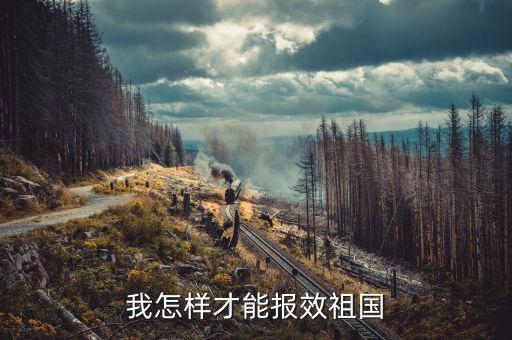 開的稅如何報效，報效祖國最好的辦法是什么