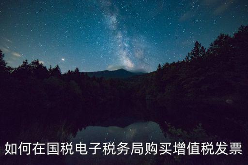 電子稅務(wù)局如何繳銷發(fā)票，如何在國稅電子稅務(wù)局購買增值稅發(fā)票