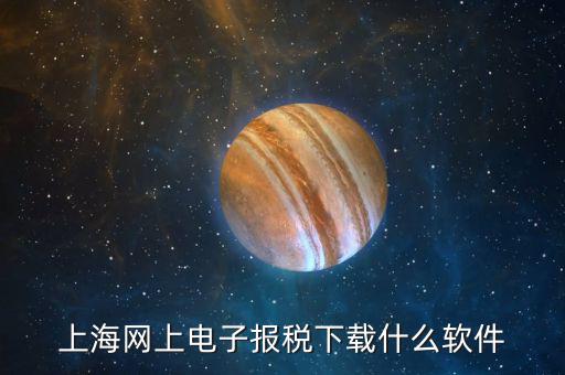 如何安裝上海網(wǎng)上電子申報(bào)系統(tǒng)下載，上海網(wǎng)上電子報(bào)稅下載什么軟件