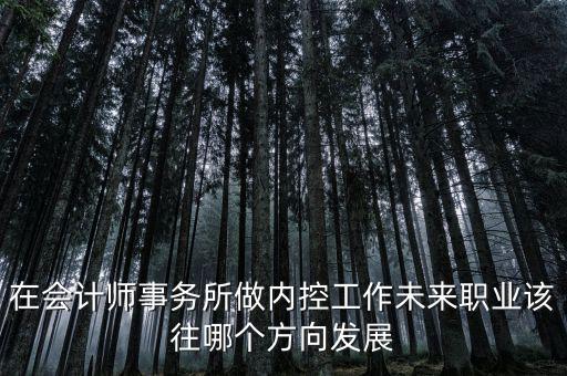 稅務(wù)內(nèi)控工作如何，如何搞好稅務(wù)所管理員內(nèi)控機(jī)制建設(shè)