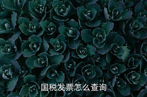 深圳市國稅局郵寄發(fā)票如何查詢，國稅發(fā)票怎么查詢