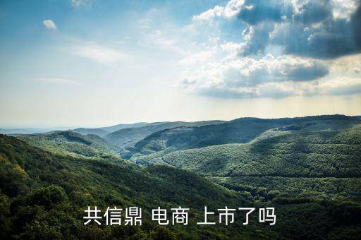 電商怎么上市,南極電商在納斯達(dá)克上市騰訊、慧聰網(wǎng)香港上市