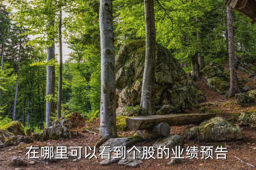 查股網(wǎng)怎么樣,周五開盤可關(guān)注國(guó)泰證券股票交易所系統(tǒng)