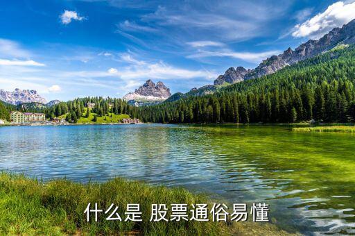 怎么懂股票,股票基礎(chǔ)、股票定投、投資書籍等資源免費(fèi)下載