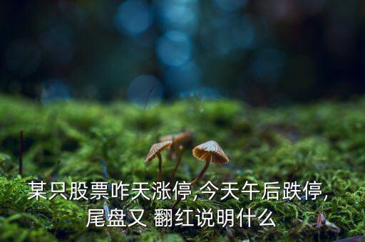 某只股票咋天漲停,今天午后跌停, 尾盤又 翻紅說(shuō)明什么