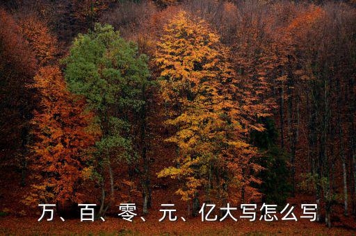 萬、百、零、元、億大寫怎么寫