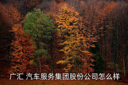 廣匯汽車怎么樣,廣匯汽車商譽(yù)來自于溢價(jià)收購(gòu)4s門店