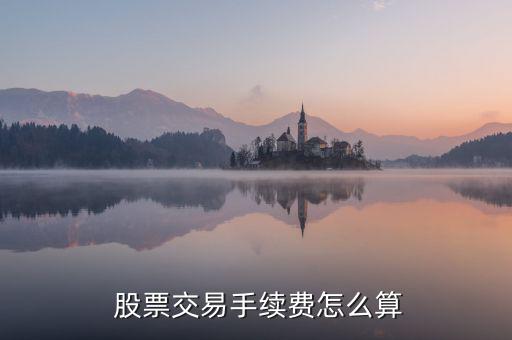 買股票費(fèi)用怎么算,股票交易費(fèi)用包括手續(xù)費(fèi)、過戶費(fèi)和傭金
