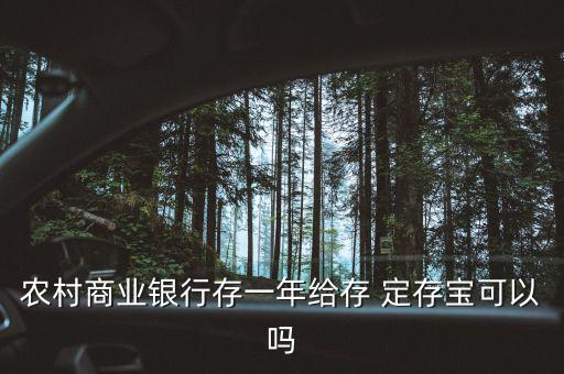 農村商業(yè)銀行存一年給存 定存寶可以嗎