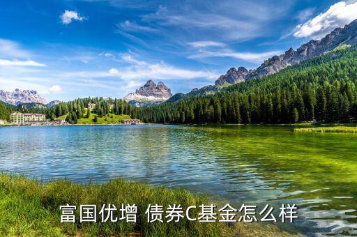 嘉實債券怎么樣,短債基金包括諾安債券、友邦短債、嘉實超短債