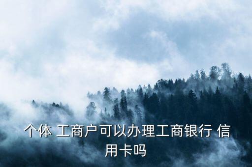  個(gè)體 工商戶(hù)可以辦理工商銀行 信用卡嗎