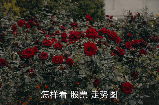 怎么看股票走勢(shì)圖圖解,k線圖一般稱為主圖，包含k線和均線