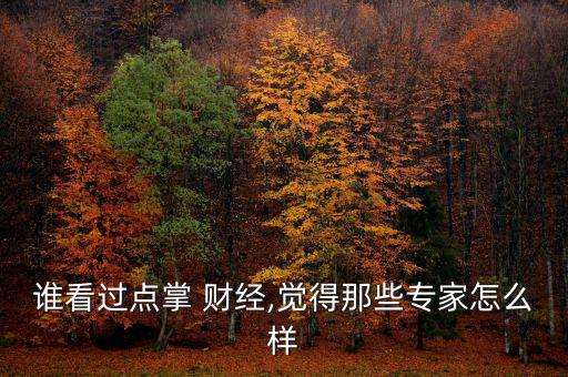誰(shuí)看過(guò)點(diǎn)掌 財(cái)經(jīng),覺(jué)得那些專(zhuān)家怎么樣
