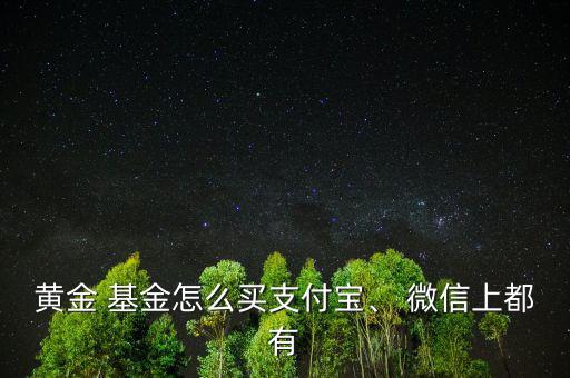 黃金 基金怎么買支付寶、 微信上都有