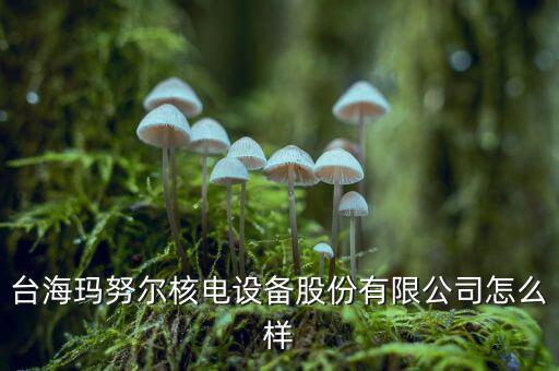 臺?，斉瑺柡穗娫O(shè)備股份有限公司怎么樣