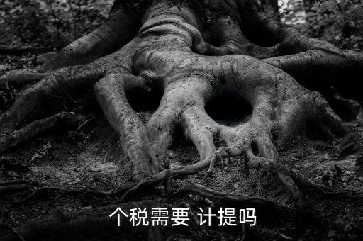  個稅需要 計(jì)提嗎