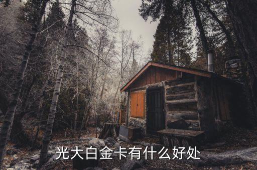 光大微稅聯(lián)白金卡有什么好處，光大銀行白金卡的好處我提供本人的100平以上的房產(chǎn)證和作為法人