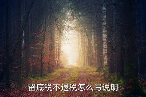 退抵稅說明書怎么寫,退稅抵稅申請(qǐng)確認(rèn)書、小額退稅憑證