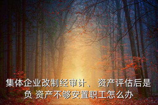 集體企業(yè)改制經(jīng)審計(jì)、 資產(chǎn)評(píng)估后是負(fù) 資產(chǎn)不夠安置職工怎么辦