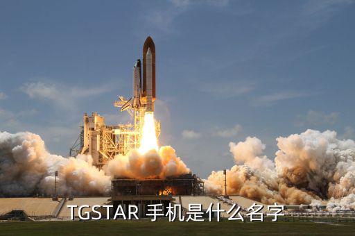 周鴻t手機牌子是什么，T型的手機是什么牌子