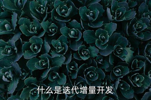 什么是增量發(fā)展，物理意義上的增量是什么意思