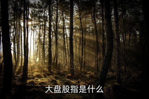 大盤股指什么，請問什么叫大盤股