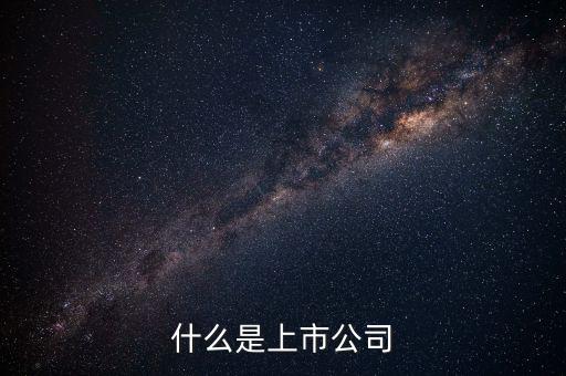 上市公司代表什么，上市公司什么意思