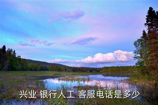 興業(yè)銀行客服怎么樣,興業(yè)銀行綜合熱線(xiàn)95561如何進(jìn)行投卡