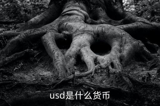 usd什么貨幣，什么是USD