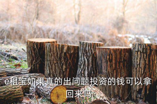 e租寶注冊(cè)有什么風(fēng)險(xiǎn)，朋友讓我給他注冊(cè)個(gè)e租包賬號(hào)安全嗎