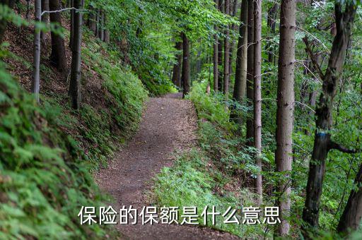 保險(xiǎn)保額是什么意思，保險(xiǎn)里的保額是啥意思