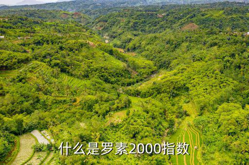 平安羅素是什么，平安epass是什么東西