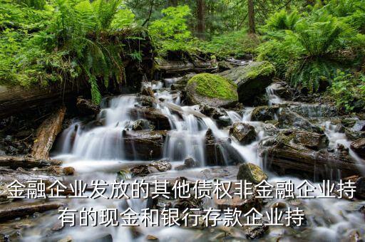 非金融債權(quán)是什么意思，非金融領(lǐng)域債務是什么意思