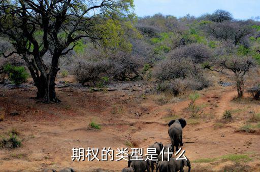 什么是期權(quán)期權(quán)有哪些類型，期權(quán)的類型是什么