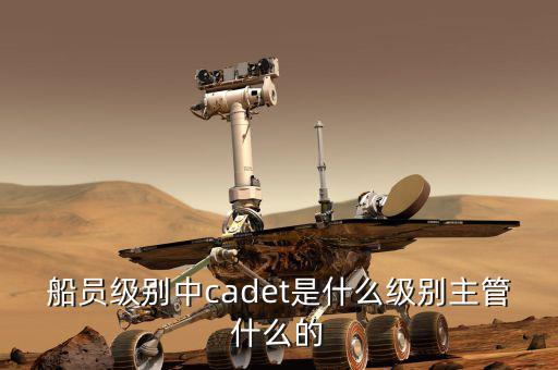 中船總經(jīng)理什么級別，中國船舶總公司總經(jīng)理啥級別