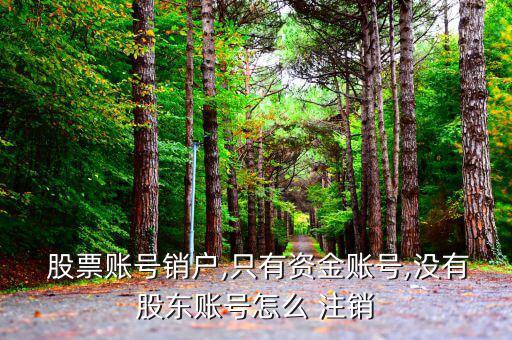  股票賬號(hào)銷(xiāo)戶,只有資金賬號(hào),沒(méi)有股東賬號(hào)怎么 注銷(xiāo)