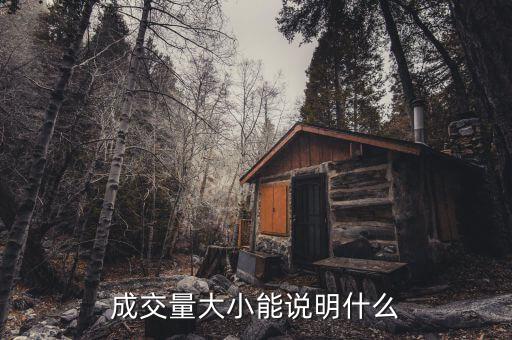 股票成交量大說明什么，股票中成交量多代表了什么有誰知道