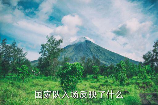國家隊(duì)進(jìn)場是什么意思，國家隊(duì)入場反映了什么