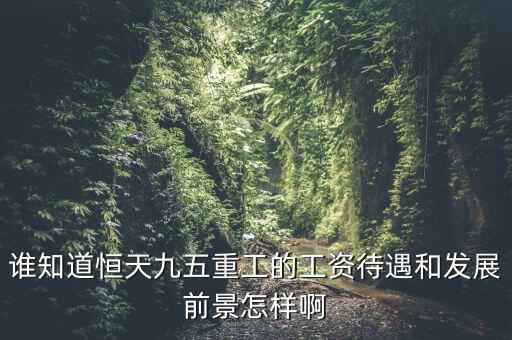 恒天九五什么時候上市，誰知道恒天九五重工的工資待遇和發(fā)展前景怎樣啊