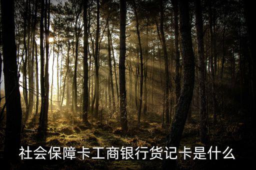 工商銀行養(yǎng)老卡叫什么，工行山西社?？ㄊ鞘裁纯?/></a></span><span id=