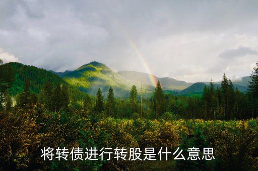 什么是債轉(zhuǎn)股，將轉(zhuǎn)債進(jìn)行轉(zhuǎn)股是什么意思