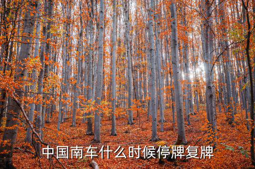 中國南車什么情況，中國南車跌停預(yù)示著大盤明天有什么狀況