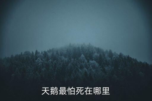天鵝怕什么，天鵝最怕死在哪里